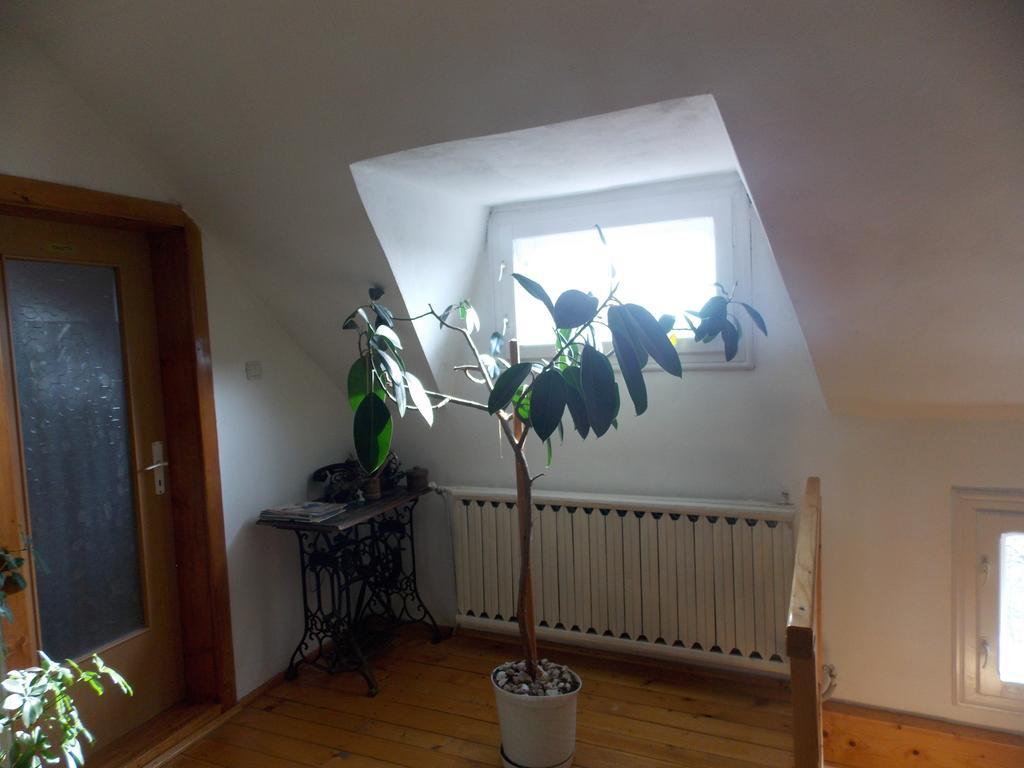 Casa Fortyogo Tîrgu Secuiesc Zewnętrze zdjęcie